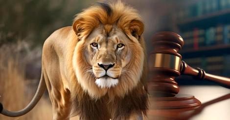 (ویدئو) جنجال بر سر نام دو شیر در هند؛ هندوها در دادگاه شکایت کردند 