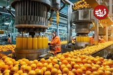 (ویدئو) چگونه آب پرتقال در کارخانه تولید و بسته بندی می شود؟ 