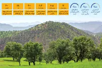 هشدار برای قلب سبز زاگرس | نماد تاب‌ وری ایران زیر سایه خشکسالی و بهره ‌برداری