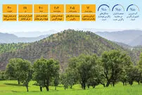 هشدار برای قلب سبز زاگرس | نماد تاب‌ وری ایران زیر سایه خشکسالی و بهره ‌برداری