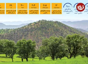 هشدار برای قلب سبز زاگرس | نماد تاب‌ وری ایران زیر سایه خشکسالی و بهره ‌برداری