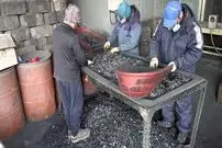 ببینید| مراحل دیدنی تولید انبوه زغال چوب در کارگاهی در کره جنوبی