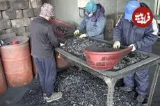 ببینید| مراحل دیدنی تولید انبوه زغال چوب در کارگاهی در کره جنوبی