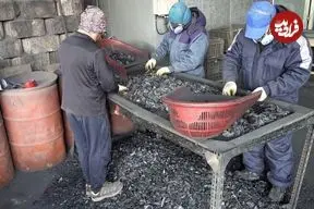 ببینید| مراحل دیدنی تولید انبوه زغال چوب در کارگاهی در کره جنوبی