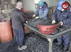 ببینید| مراحل دیدنی تولید انبوه زغال چوب در کارگاهی در کره جنوبی