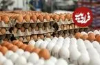 قیمت واقعی هر شانه تخم‌مرغ اعلام شد