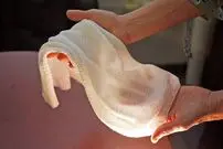 این پارچه برای همه شرایط آب‌وهوایی مناسب است