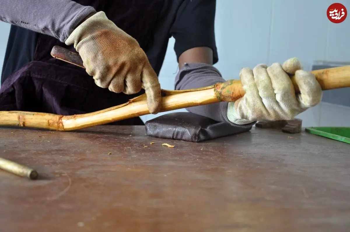 داستان ادویه‌ای که جهان را تغییر داد؛ ادویه‌ای که ۱۰۰ برابر گران‌تر فروخته می‌شد