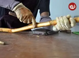 داستان ادویه‌ای که جهان را تغییر داد؛ ادویه‌ای که ۱۰۰ برابر گران‌تر فروخته می‌شد