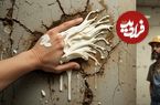 معنی و ریشه ضرب المثل 'ماست مالی کردن'