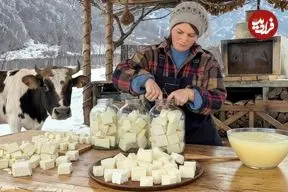 ببینید| غذای روستایی در آذربایجان؛ تهیه پنیر با شیر تازه گاو در هوای برفی 