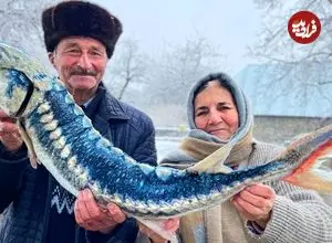 ببینید| غذای روستایی در آذربایجان؛ کباب کردن ماهی خاویاری در هوای برفی