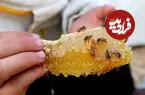 ببینید| زنبورداری در میان ویرانه‎ های غزه