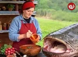 ببینید| غذای روستایی در آذربایجان؛ پخت گربه ماهی غول پیکر با آلو و رب انار در تنه درخت