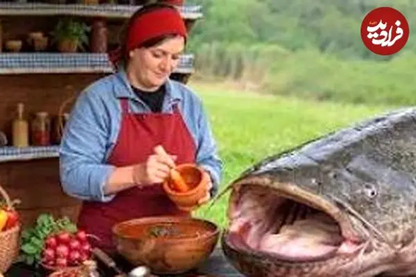 ببینید| غذای روستایی در آذربایجان؛ پخت گربه ماهی غول پیکر با آلو و رب انار در تنه درخت