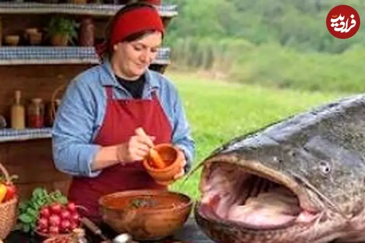 ببینید| غذای روستایی در آذربایجان؛ پخت گربه ماهی غول پیکر با آلو و رب انار در تنه درخت