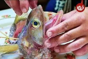 ببینید| غذای خیابانی در ژاپن؛ تهیه برگر با ماهی در توکیو