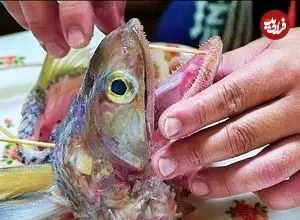 ببینید| غذای خیابانی در ژاپن؛ تهیه برگر با ماهی در توکیو