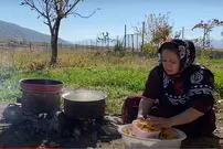 (ویدئو) برداشت و پخت مربای بِه توسط یک بانوی خوش سلیقه روستایی کردستانی