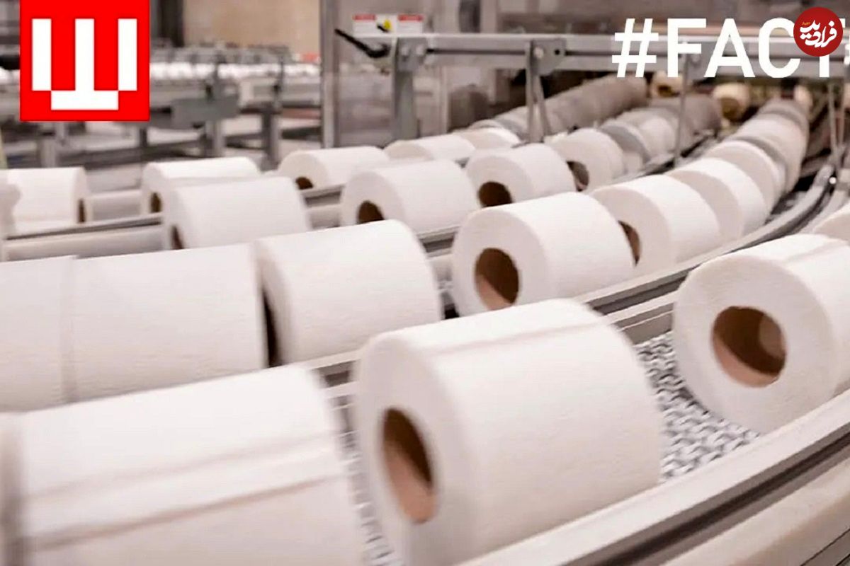 (ویدئو) عملیات تولید و بسته بندی دستمال کاغذی و دستمال توالت در کارخانه از نمای نزدیک