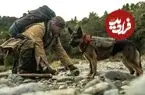 برد پیت و چالش یک نقش