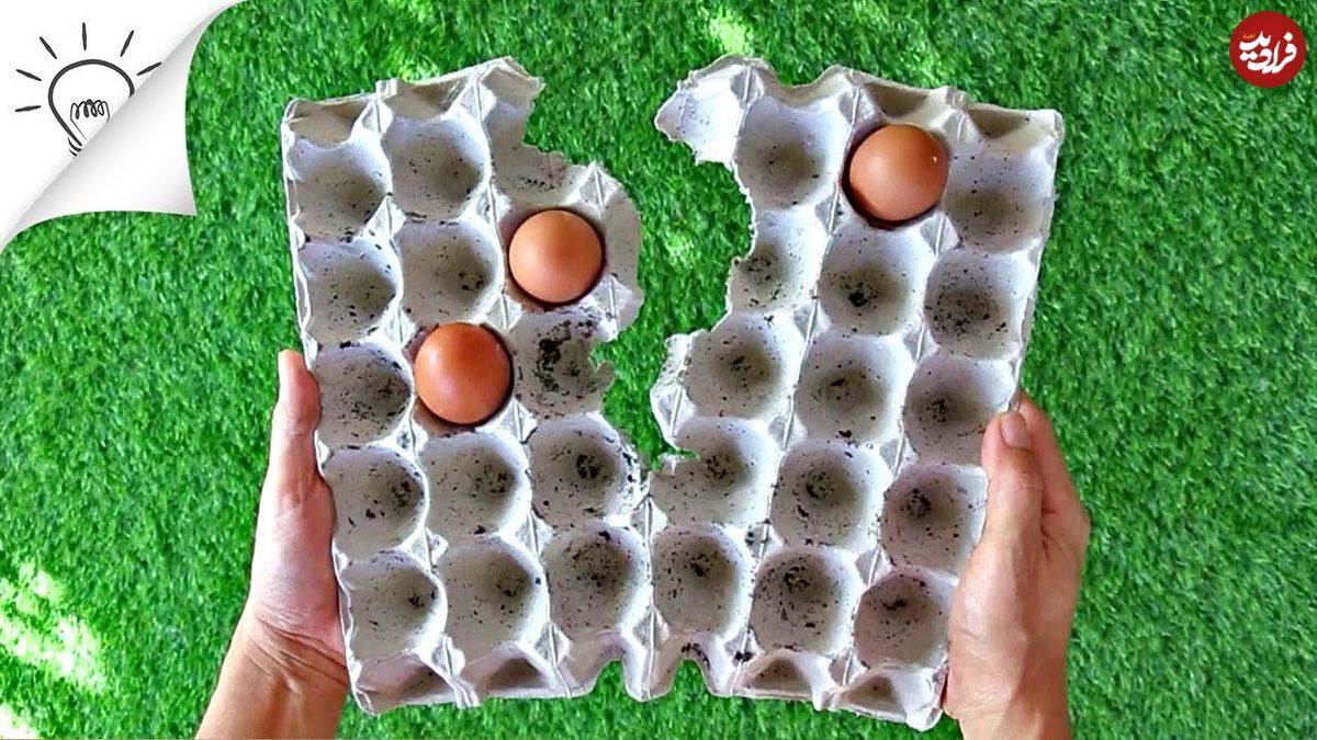 ببینید؛ 8 ایده فوق العاده برای استفاده مجدد از شانه تخم مرغ