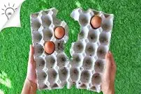 ببینید؛ 8 ایده فوق العاده برای استفاده مجدد از شانه تخم مرغ
