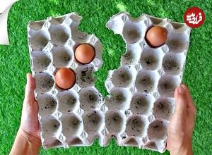ببینید؛ 8 ایده فوق العاده برای استفاده مجدد از شانه تخم مرغ
