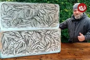 ببینید| غذای روستایی در آذربایجان؛ پخت یک غذای متفاوت با شاه ماهی یخ زده