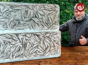 ببینید| غذای روستایی در آذربایجان؛ پخت یک غذای متفاوت با شاه ماهی یخ زده