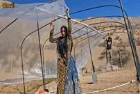 (ویدئو) نحوه ساخت یک گلخانه کوچک و کم هزینه توسط دو جوان عشایر زاگرس نشین