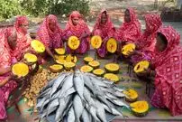 ببینید| غذای روستایی در هند؛ پخت یک غذای سنتی با ماهی صبور، کدو تنبل و سیب زمینی