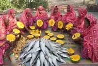 ببینید| غذای روستایی در هند؛ پخت یک غذای سنتی با ماهی صبور، کدو تنبل و سیب زمینی