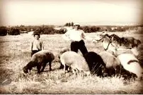قصه آسیاب، تنور و نان محلی جماران