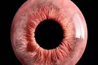 (ویدیو) تصاویری خارق العاده‌ از چشم انسان زیر میکروسکوپ 