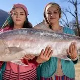 ببینید| غذای روستایی در ایران؛ برش زدن یک ماهی بزرگ و پخت آن در طبیعت