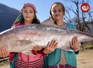 ببینید| غذای روستایی در ایران؛ برش زدن یک ماهی بزرگ و پخت آن در طبیعت
