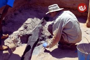 470 هزار سال قبل (زمانی که هنوز انسان امروزی وجود نداشت) چه کسی این چوب‌ها را تراشید؟