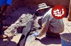 470 هزار سال قبل (زمانی که هنوز انسان امروزی وجود نداشت) چه کسی این چوب‌ها را تراشید؟
