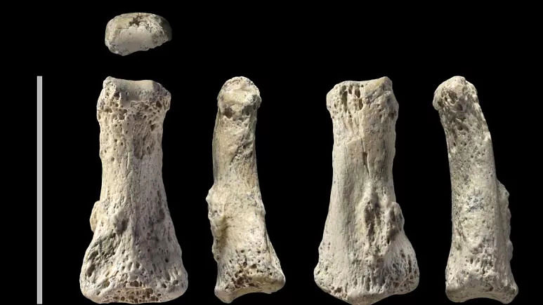 کشف قدیمی‌ترین بقایای «انسان خردمندِ» اروپا در یکی از غارهای بلغارستان