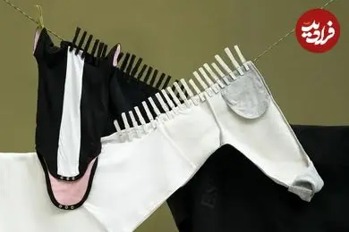 خلاقیت هنرمندی که «لباس‌های روی بند» را به تصاویر بامزه تبدیل می‌کند