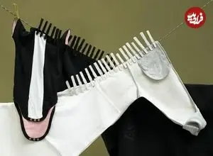 خلاقیت هنرمندی که «لباس‌های روی بند» را به تصاویر بامزه تبدیل می‌کند