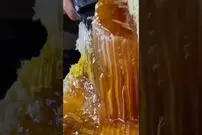 (ویدئو) لحظه های شگفت انگیز برش زدن عسل وحشی در کوهستان