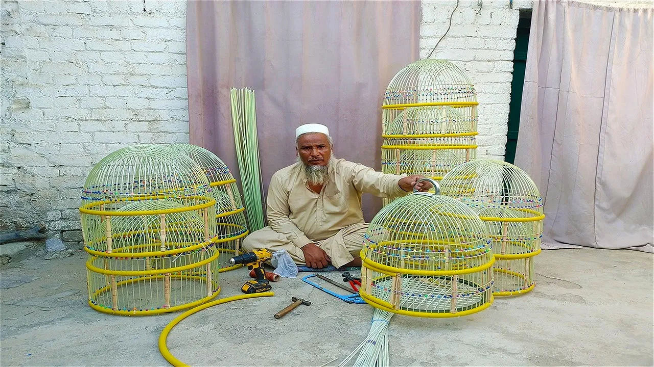 (ویدئو) نحوه ساخت قفس پرنده در خانه به سبک استاد پاکستانی 