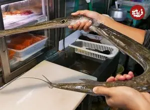 ببنیید| غذای خیابانی در ژاپن؛ تهیه سوشی و ساشیمی با ماهی ترومپت در اوکیناوا