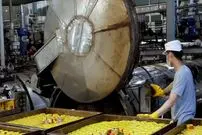 (ویدئو) کنسرو تن ماهی هایی که از بازار میخرید به این شکل تولید می شوند!