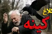 ببینید| کینه عجیب یک کلاغ از مردی که جوجه‌اش را نجات داد