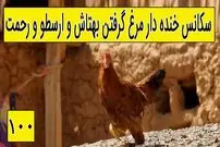 (ویدئو) سکانس خنده دار سریال پایتخت 5؛ مرغ گرفتن بهتاش و ارسطو و رحمت