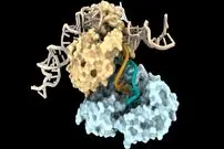 دانشمندان راهی عجیب برای ساخت DNA کشف کردند | ساخت ملکول وراثت، بدون الگو برای نخستین بار