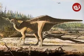 اسرار پنهان از ۱۲۵ میلیون سال پیش از دنیای این جانوران عظیم‌الجثه‌/ عجیب‌ترین سلاح دایناسور‌ها برای جذب جفت